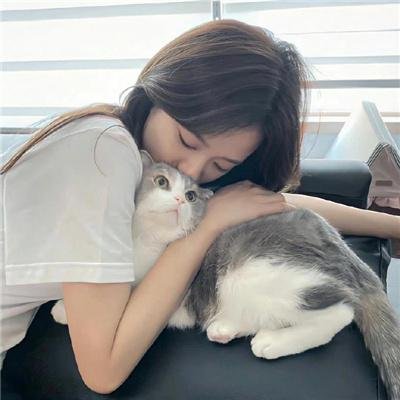我是一部照相机